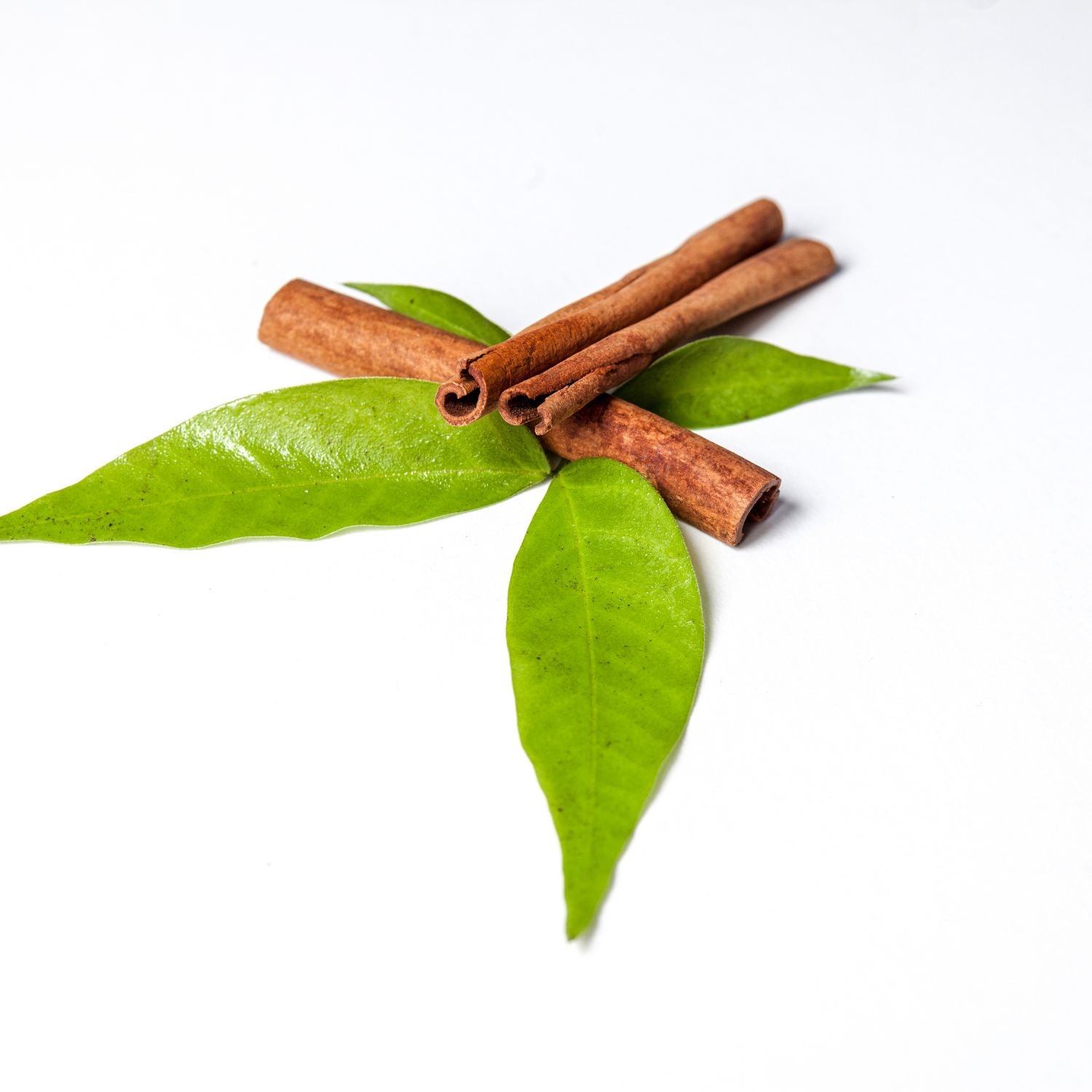 cinnamon-leaf-essential-oil-mmchgroup