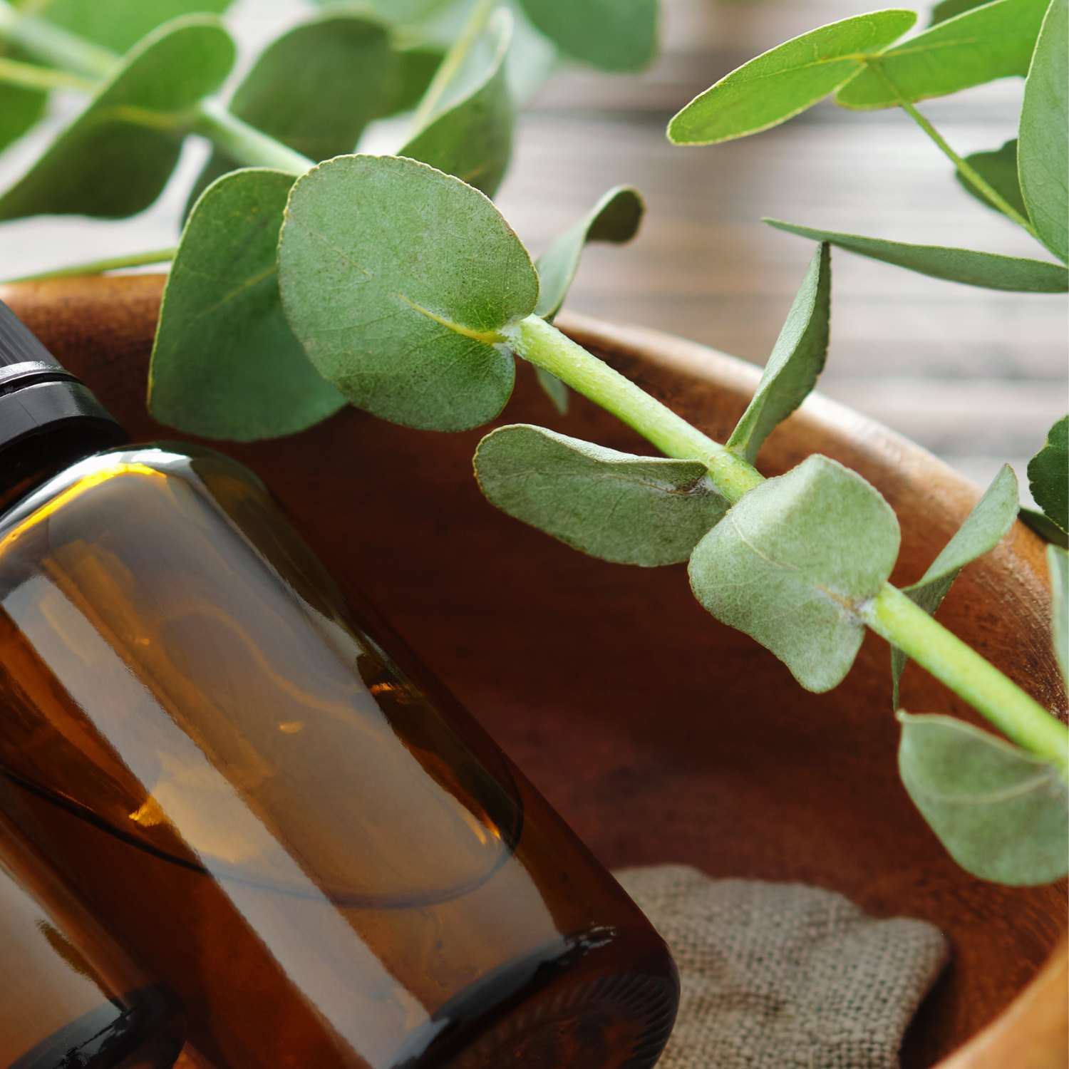 eucalyptus-essential-oil-mmchgroup.com