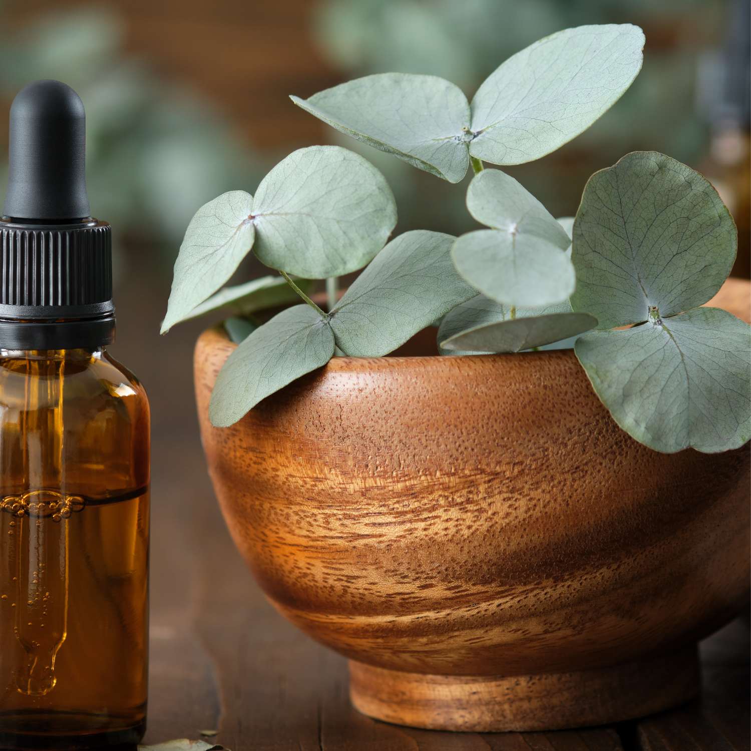 eucalyptus-globulus-essential-oil-mmchgroup