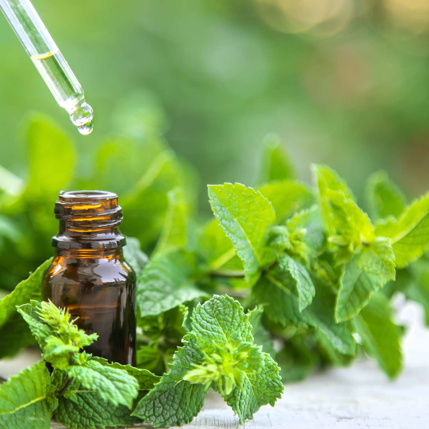 peppermint-essential-oil - MMCH Group