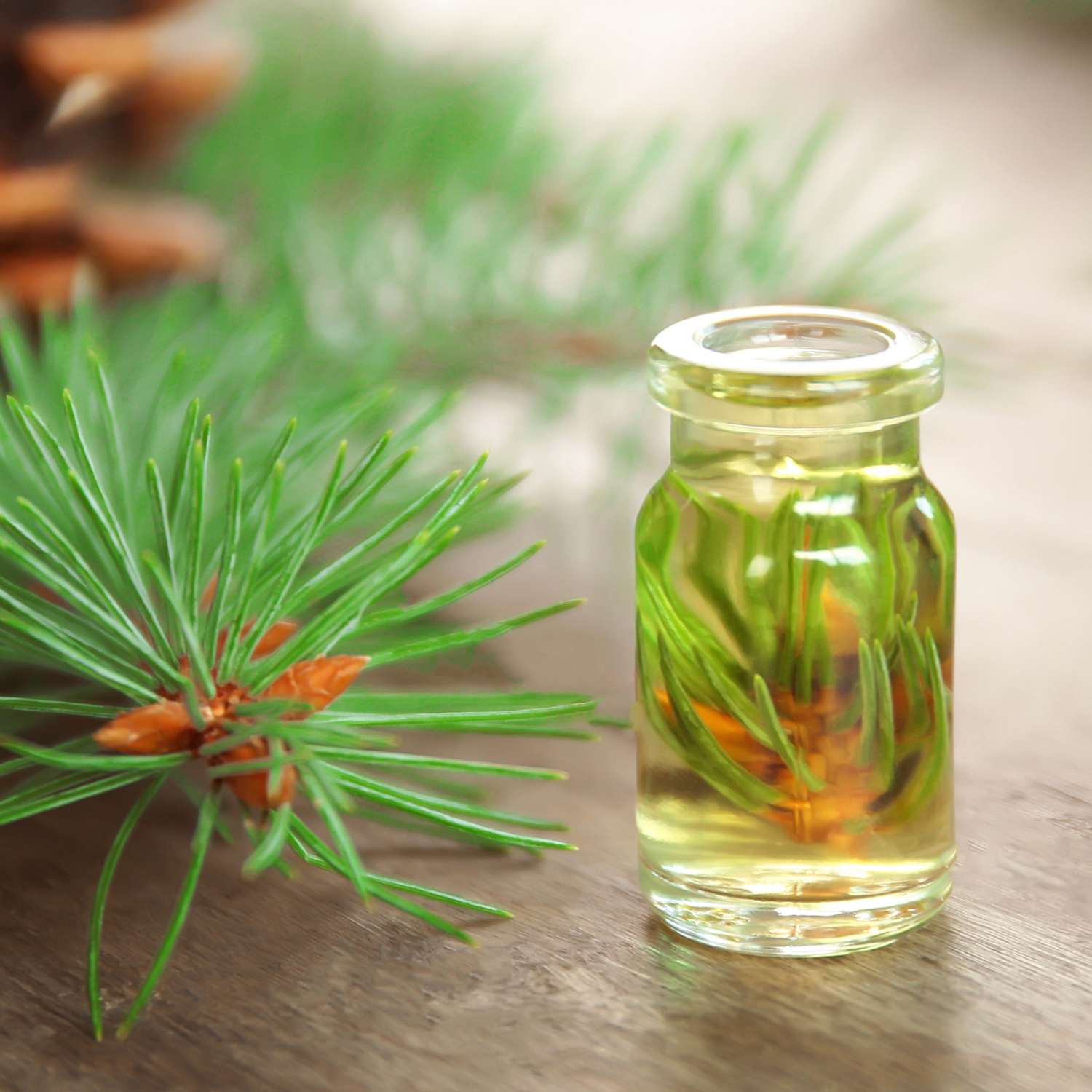 pine-essential-oil-mmchgroup