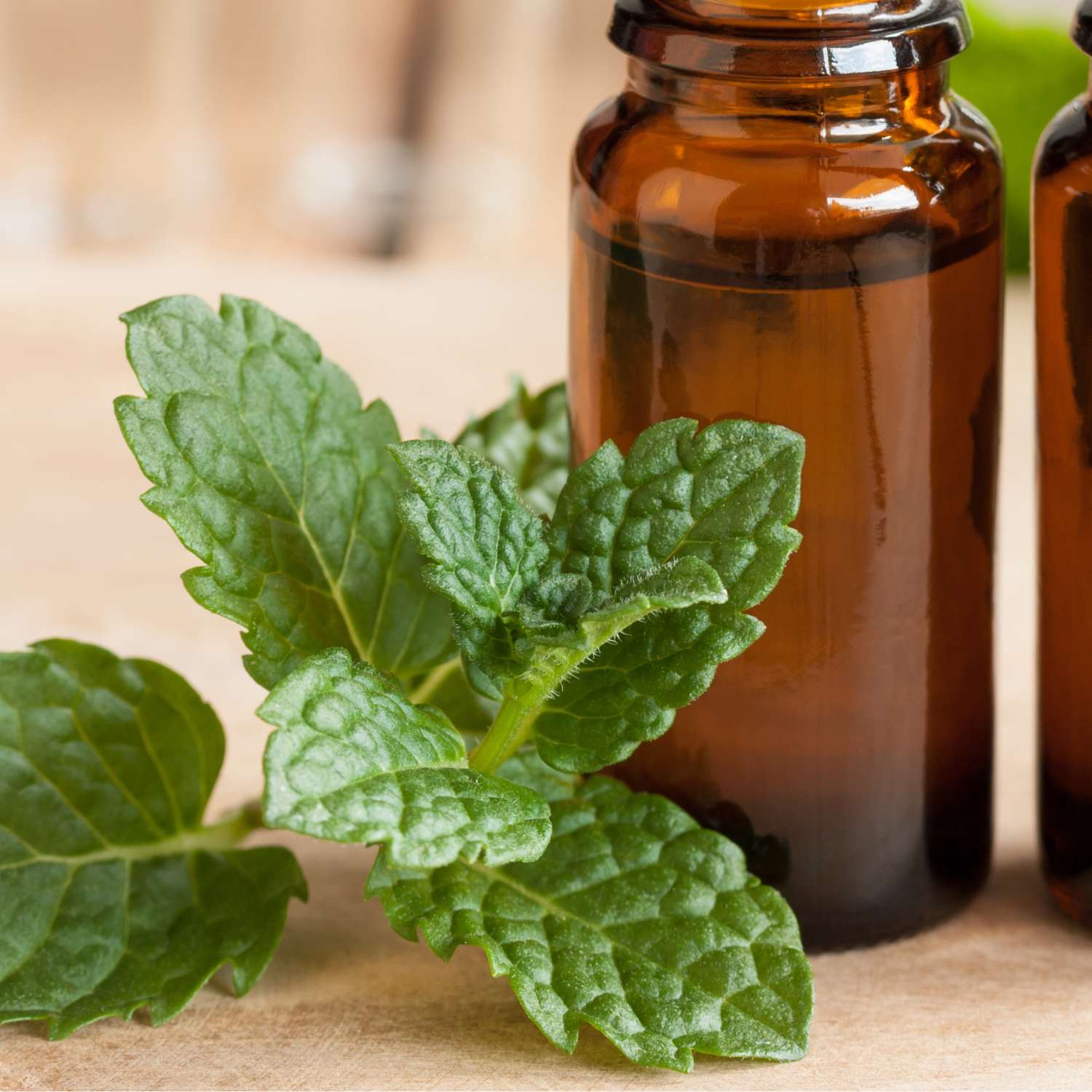 spearmint-essential-oil-mmchgroup